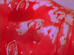 i am your friend (2003)