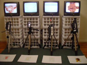 self-portrait (2004)