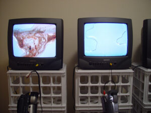 self-portrait (2004)