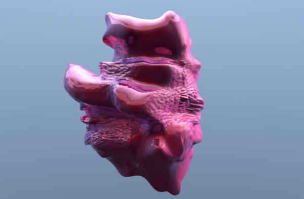 Facial Weaponization Communiqué: Fag Face