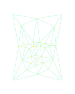 Biometric Portrait 4