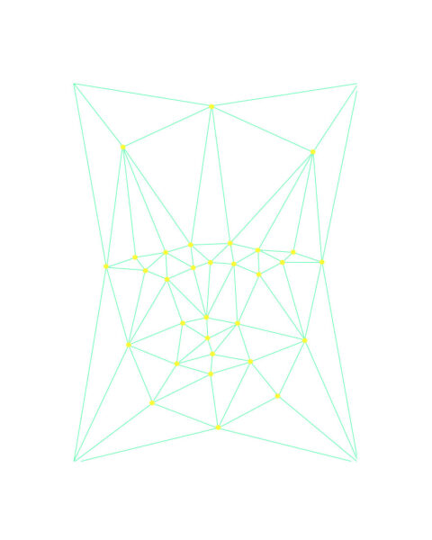 Biometric Portrait 4