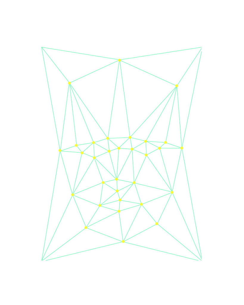 Biometric Portrait 4