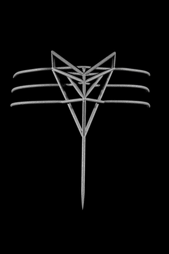 Face Cage 1