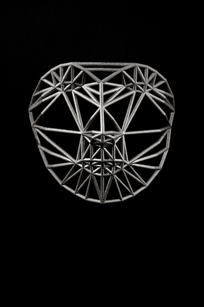 Face Cage 2