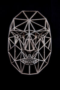 Face Cage 3