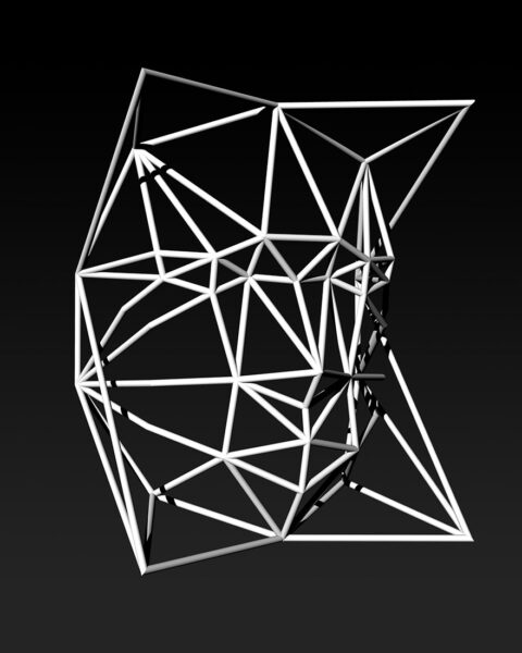 Face Cage 4, 3D render