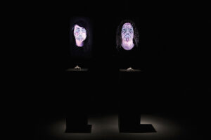 CAPTURE ALL, transmediale