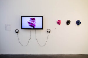 Zach Blas, Facial Weaponization Suite, Now? Now!, Biennial of the Americas, Denver Museum of Contemporary Art