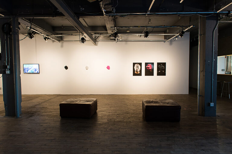 Zach Blas, Facial Weaponization Suite, BPLTC II: Identity Control, Eastern Bloc