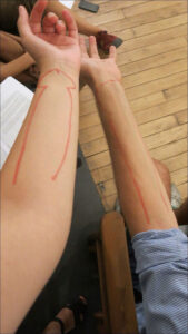 Zach Blas, Contrasexual, Contra-Internet, Moving Museum Istanbul