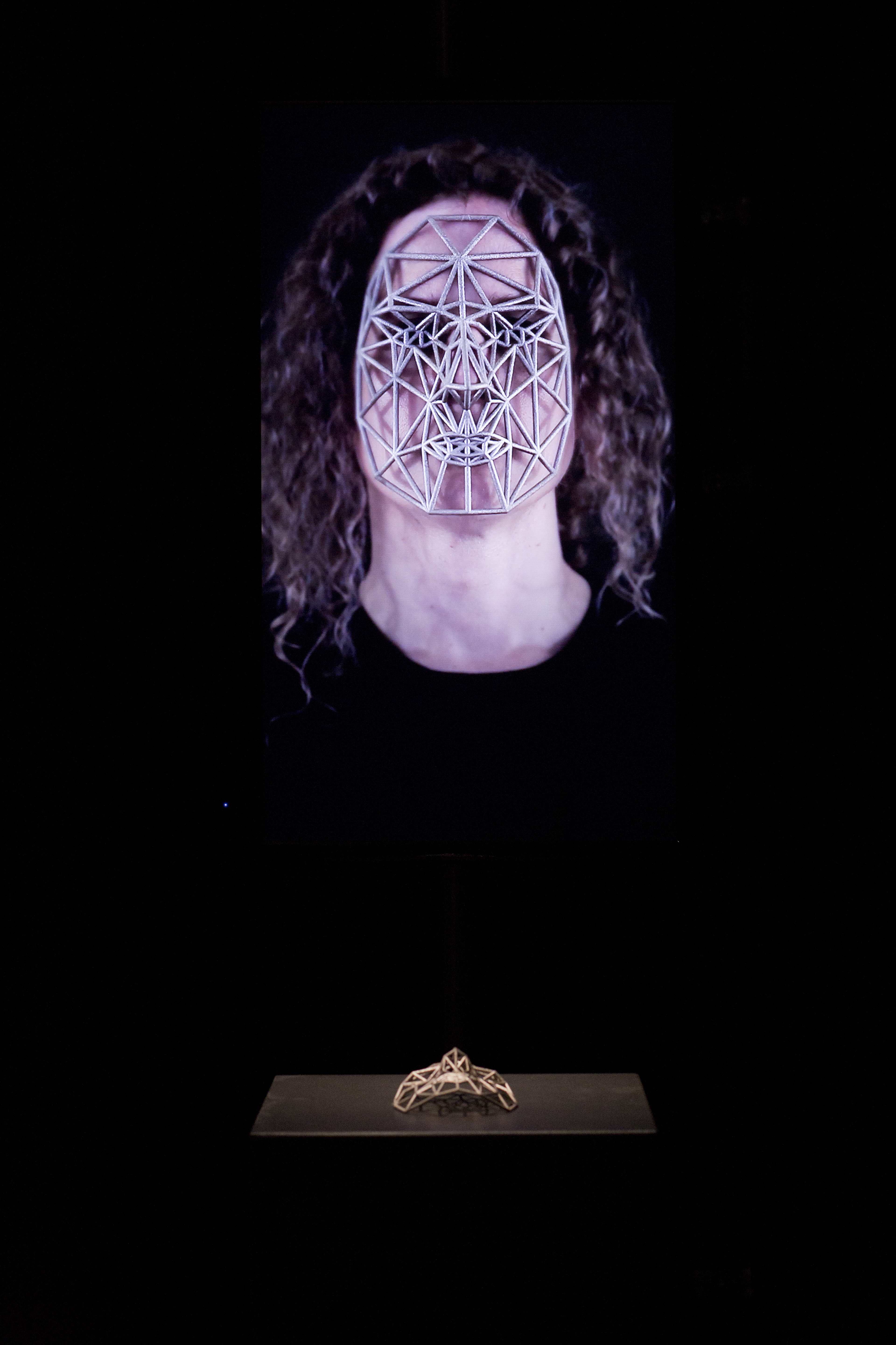 Zach Blas, Face Cages, CAPTURE ALL, transmediale