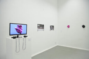 Zach Blas, Facial Weaponization Suite, transmediale reSource 006