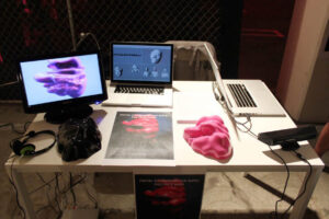 Zach Blas, Fag Face Scanning Station, reclaim:pride