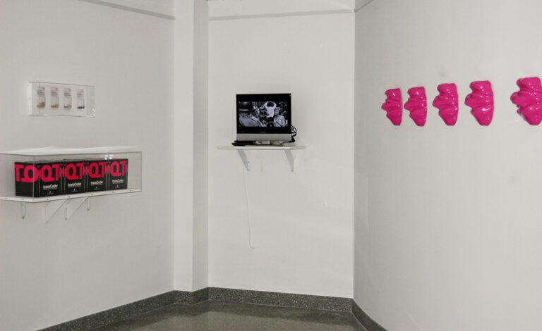 Zach Blas, Facial Weaponization Suite and Queer Technologies, Trans Technology