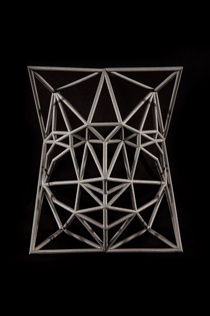 Face Cage 4