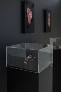 Zach Blas, Face Cages, Sonic Acts Festival