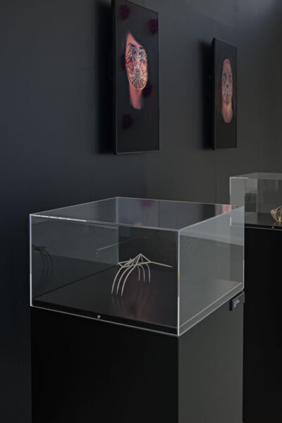 Zach Blas, Face Cages, Sonic Acts Festival