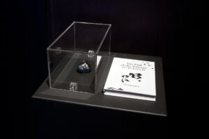 Contra-Internet, transmediale