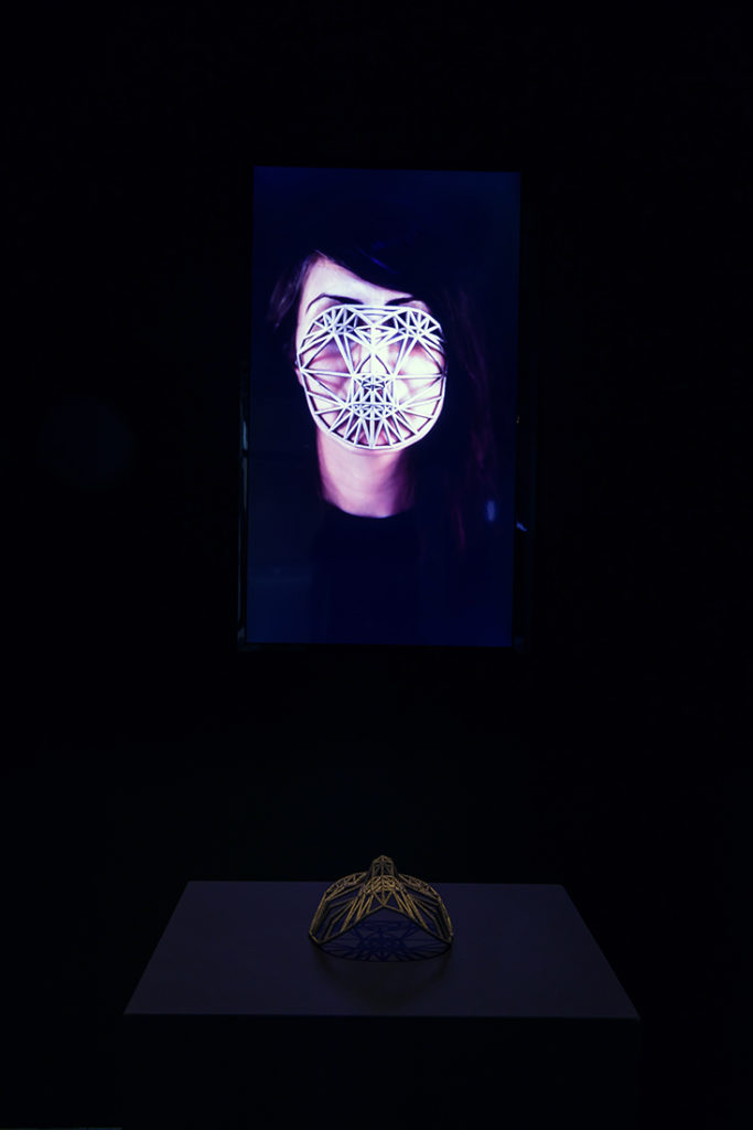 Face Cages