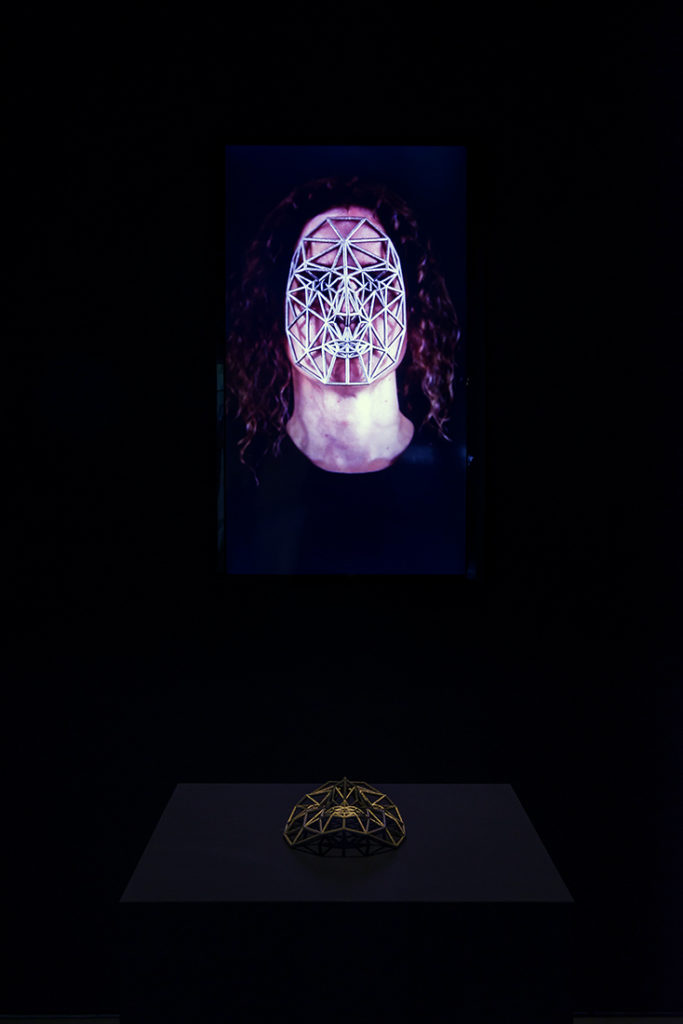 Face Cages