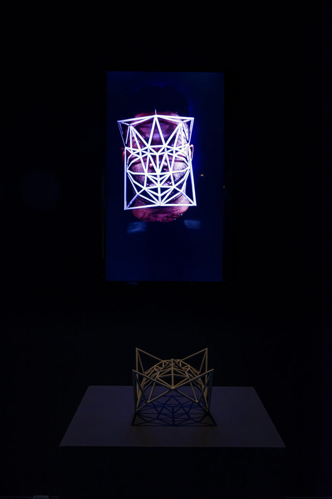Face Cages