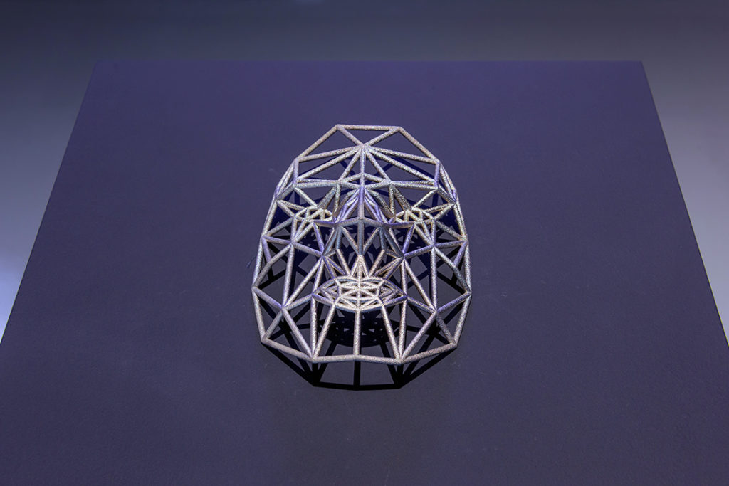 Face Cages