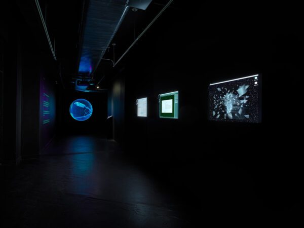 Contra-Internet, Art in General