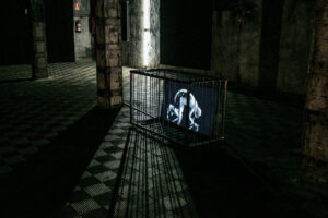 SANCTUM