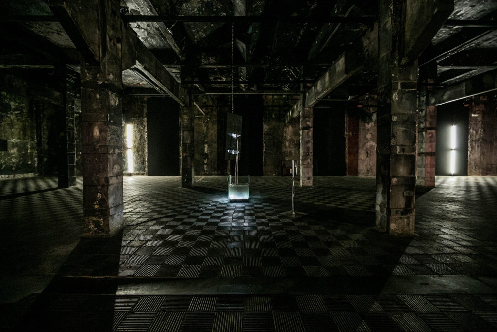 SANCTUM