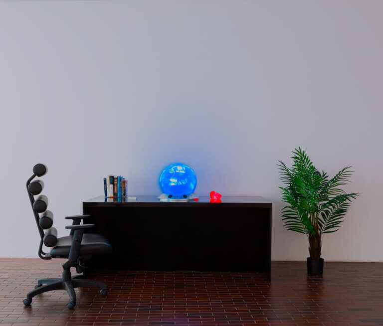 Zach Blas, Icosahedron