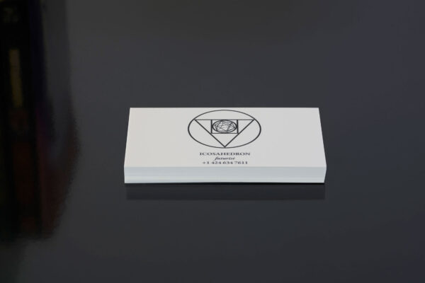 Zach Blas, Icosahedron