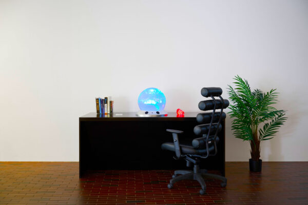 Zach Blas, Icosahedron