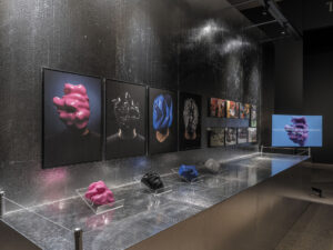 Facial Weaponization Suite