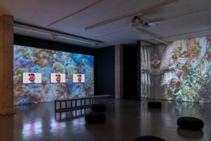 installation view of POST NATURE, Casa Hoffman