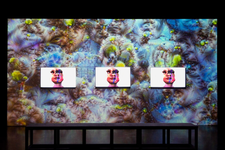 installation view of POST NATURE, Casa Hoffman