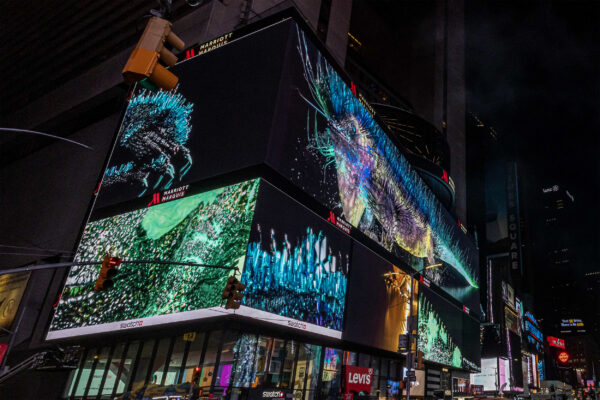The Doors: Lizard Kings, photo by Michael Hull, courtesy of Times Square Arts